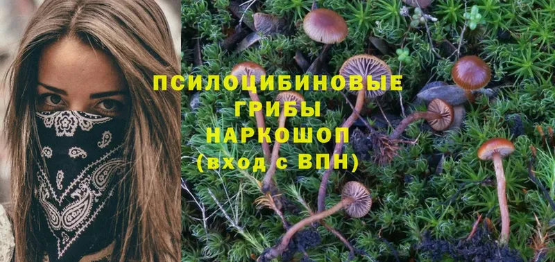 blacksprut маркетплейс  Жирновск  Галлюциногенные грибы Magic Shrooms 